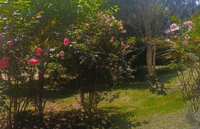 Recanto da Floresta - Photo 3