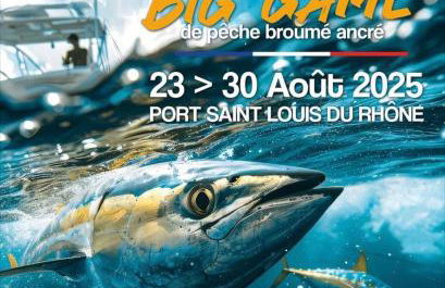 le meublé du pêcheur 2 - Foto 19