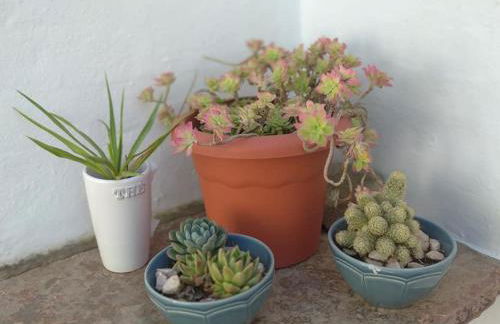 Estevas de Monsaraz - Foto 20