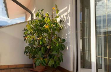 Diva home monfy - Foto 8