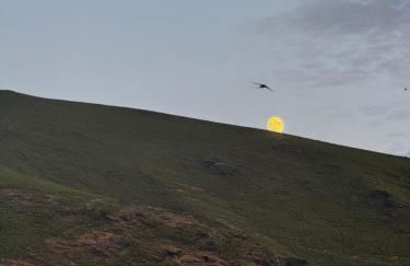 Lar da cima - Foto 67