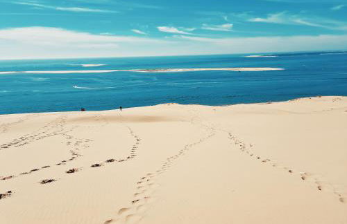 Résidence du Haurat - Foto 43