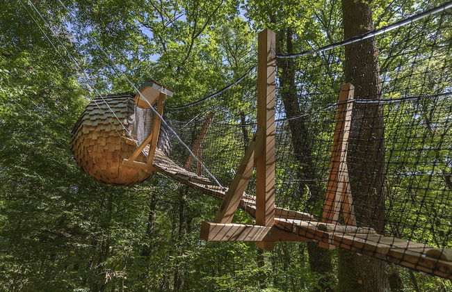 L'Arbre à Cabane - Foto 17