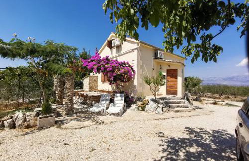 Robinson crusoe style house "MASLINA'' - Foto 2