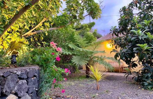 RUSTIC HOUSE LA MONTAÑA - Foto 22