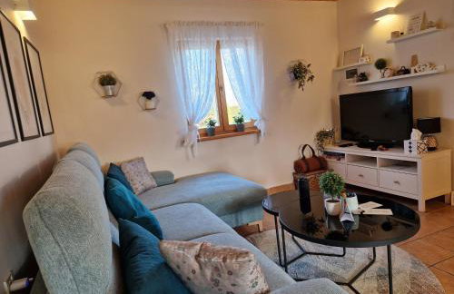 Family friendly house with a parking space Varazdin, Zagorje - 22470 - Foto 14