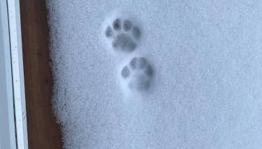 Dreamy Artist Chalet in Secluded Historic Village - Foto 4, Other