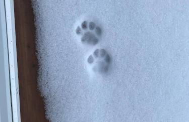 Dreamy Artist Chalet in Secluded Historic Village - Photo 4