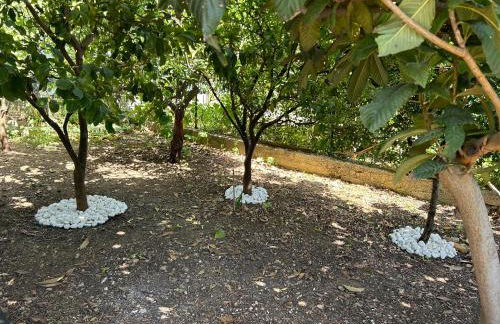 Aromi di Sicilia Casa Vacanze - Foto 5