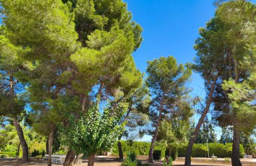 Casa Rural "La villa del pistacho" - Foto 12