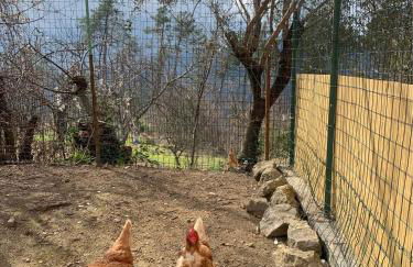 La casa nel verde con piscina - Photo 54