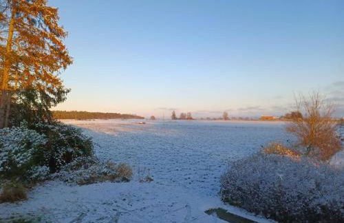 Ferienhaus Dünenhaus - Foto 10