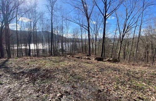 Eagles Nest Cabin with TN River Views - Foto 36