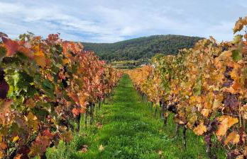 Ferienwohnung Freiraum - Foto 26