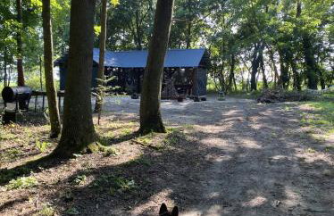 Agroturystyka przy Pracowni Malarstwa i Rzeźby - Foto 39