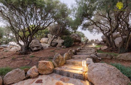 Agriturismo Bed and Breakfast Tanca Taroni - Foto 37