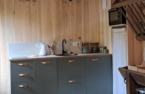 L'atypique du buisson de la gariole - Foto 17