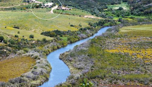 Monte D´Sancho - Foto 3