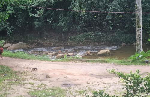 Refúgio da Coruja - Foto 12