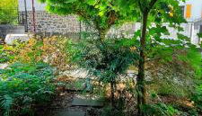 Hochwertiges Apartment mit 3 Räumen und Terrasse statt Hotelzimmer - Festung zu Ketghe, Nähe Koblenz - Foto 2, Garden, Garden view