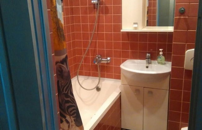 Lakshmi Dinamo Studio View - Foto 14