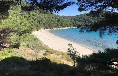 Apartments Pitarević - Photo 16