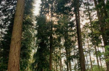 The Pig and Sty - Foto 22