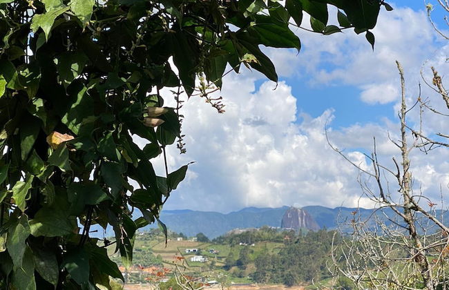 Rocksglamping - Photo 58