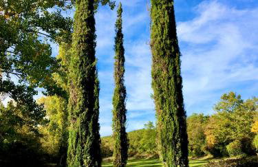 Il Molinaccio - Foto 17