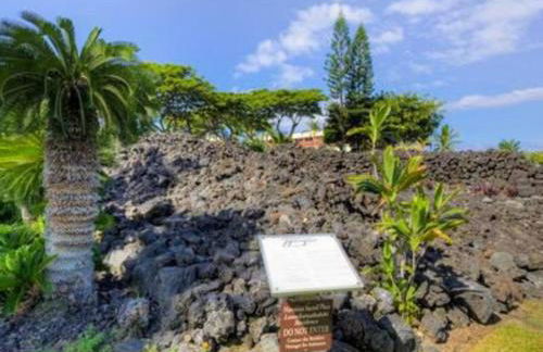 Ohana Beach Retreat at the Surf and Racquet Club - Foto 31