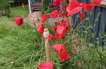 Ferienwohnung Am Freitagsbach - Photo 6