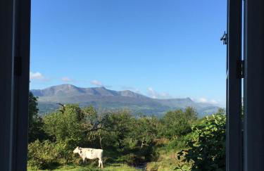 3 Bed in Dolgellau oc-wah484 - Foto 13