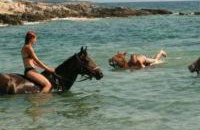 Apartman Orbanići - Foto 30