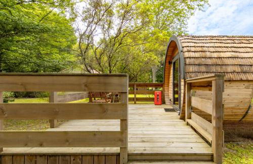 Otonneauxstress - Plagiste - Foto 15