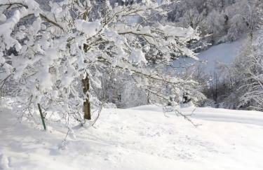 Chalet typique des Pyrénées - Foto 12