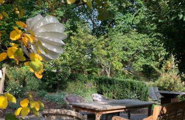 Nibelungen Odenwaldhaus - Foto 80