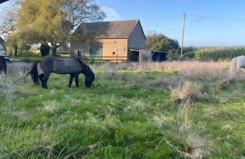 Gîte De La Ferme Du Tilleul - Foto 18
