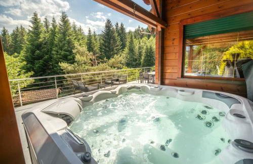 Le Chant du Ruisseau SPA - Sauna - Foto 1