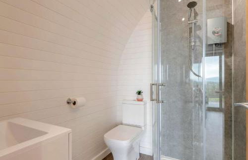 1 Bed in Gwyddelwern 80320 - Foto 10