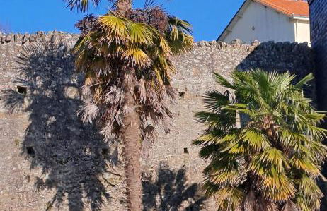 L'Hématite - Foto 12