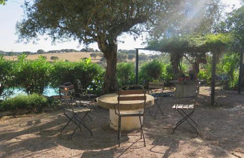 Herdade da Madalena - Foto 21