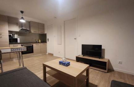 T2 Jean Rieux 4P- Cité de l'Espace - Foto 3