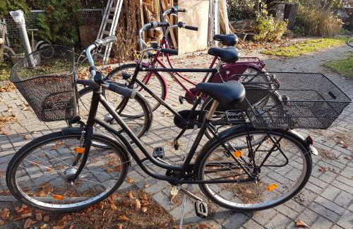 Wohnung im Haus am See von Berlin - Foto 14