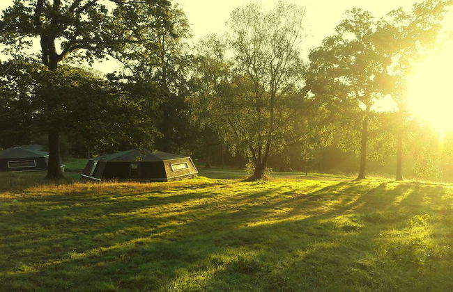 Etape en forêt - Foto 6