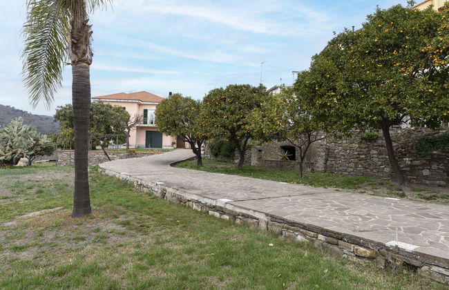 Coty (IMP522) - Foto 23