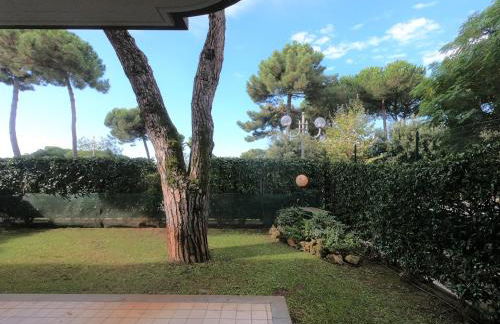 Michelangelo rta - Foto 12