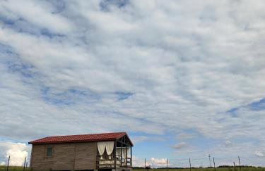 W Szczerym Polu - Foto 48