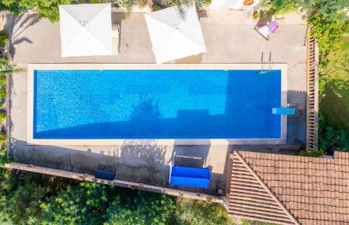 Sabor De Cas Ferrer - Photo 15