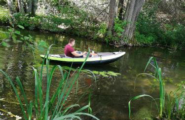 Mazurska Knieja - Foto 38