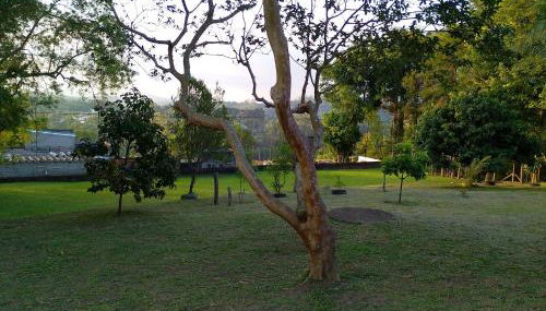 Sítio Kaizen Mogi das Cruzes, ate 30 pessoas - Foto 4